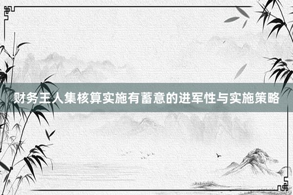 财务王人集核算实施有蓄意的进军性与实施策略
