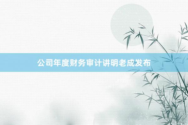 公司年度财务审计讲明老成发布
