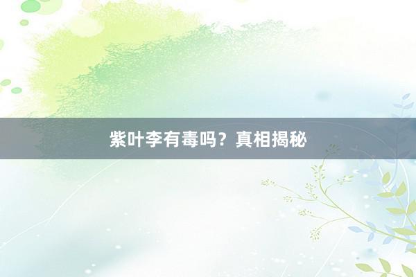 紫叶李有毒吗？真相揭秘